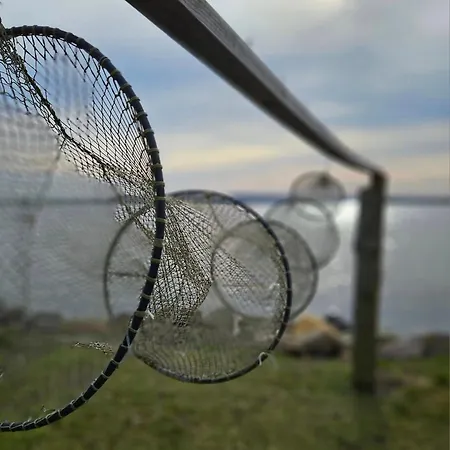 Schwedenstern - Familienurlaub An Der Ostsee Prázdninový dům Kochendorf